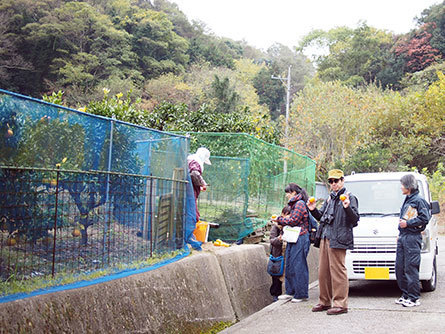 せとうちスタイル取材（広島県尾道市百島）-(72).jpg