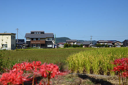 ビジネス香川取材01.jpg