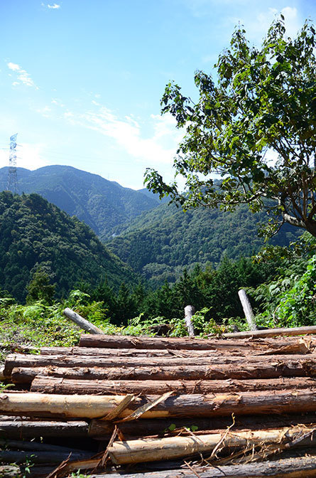 ビジネス香川取材04.jpg