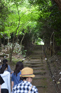 蔦島デイアウト11.jpg