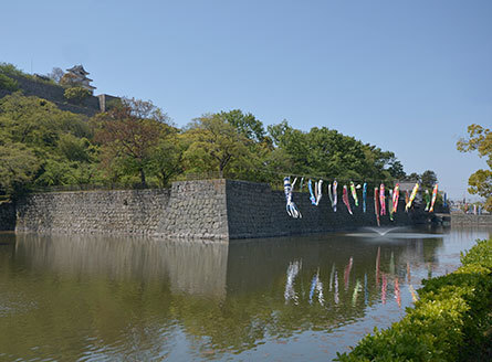 香川県　丸亀城　鯉のぼり.jpg