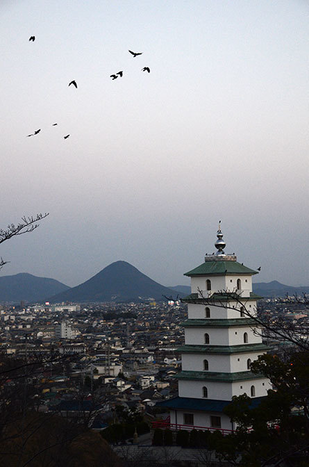 香川県多度津　桃陵公園2.jpg