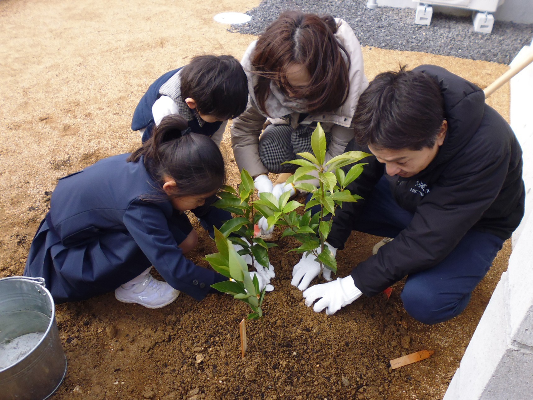 鎮守の森project 木を植えよう 未来のために 自然と寄り添う 株式会社 菅組