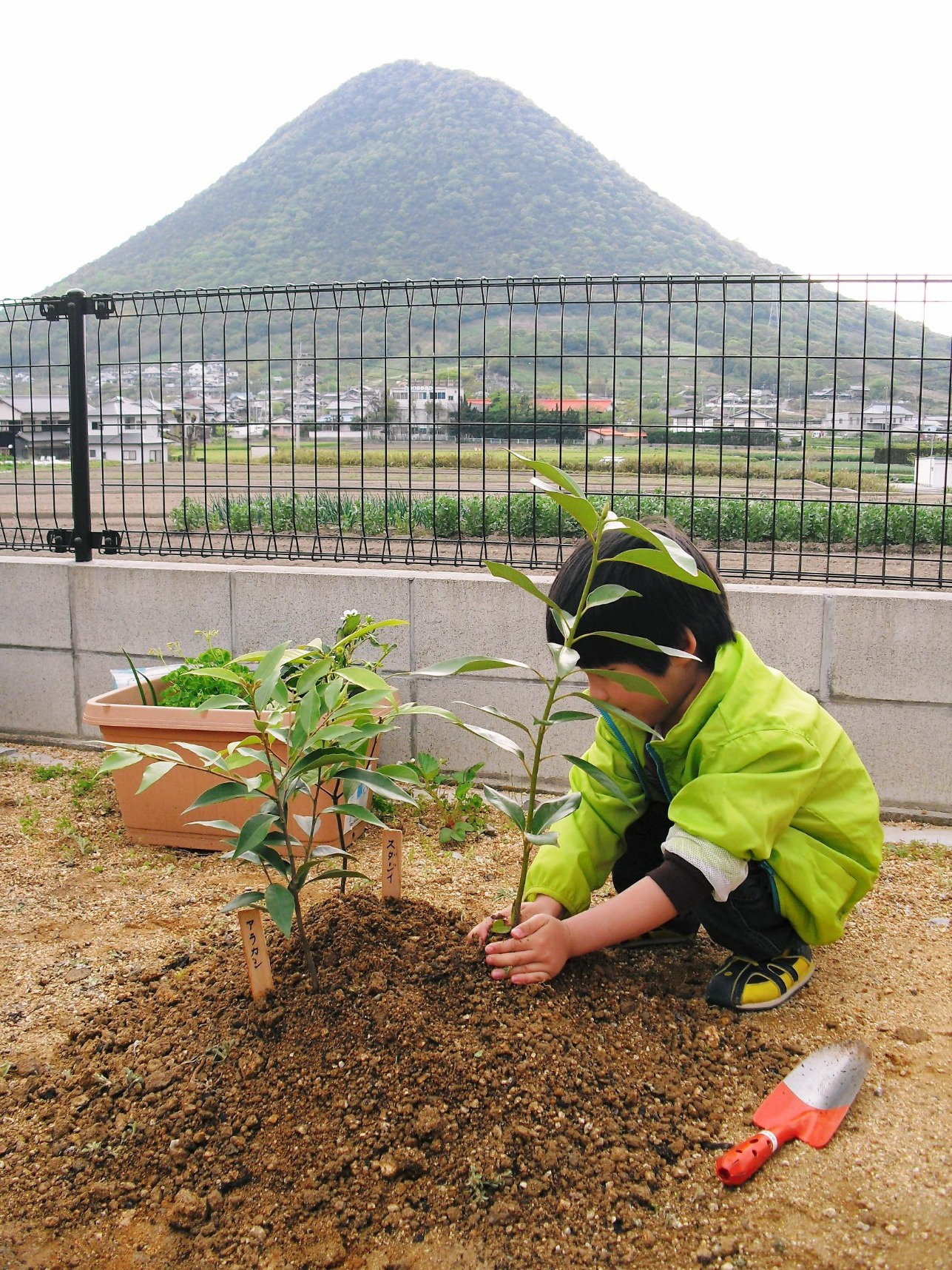 鎮守の森project 木を植えよう 未来のために 自然と寄り添う 株式会社 菅組