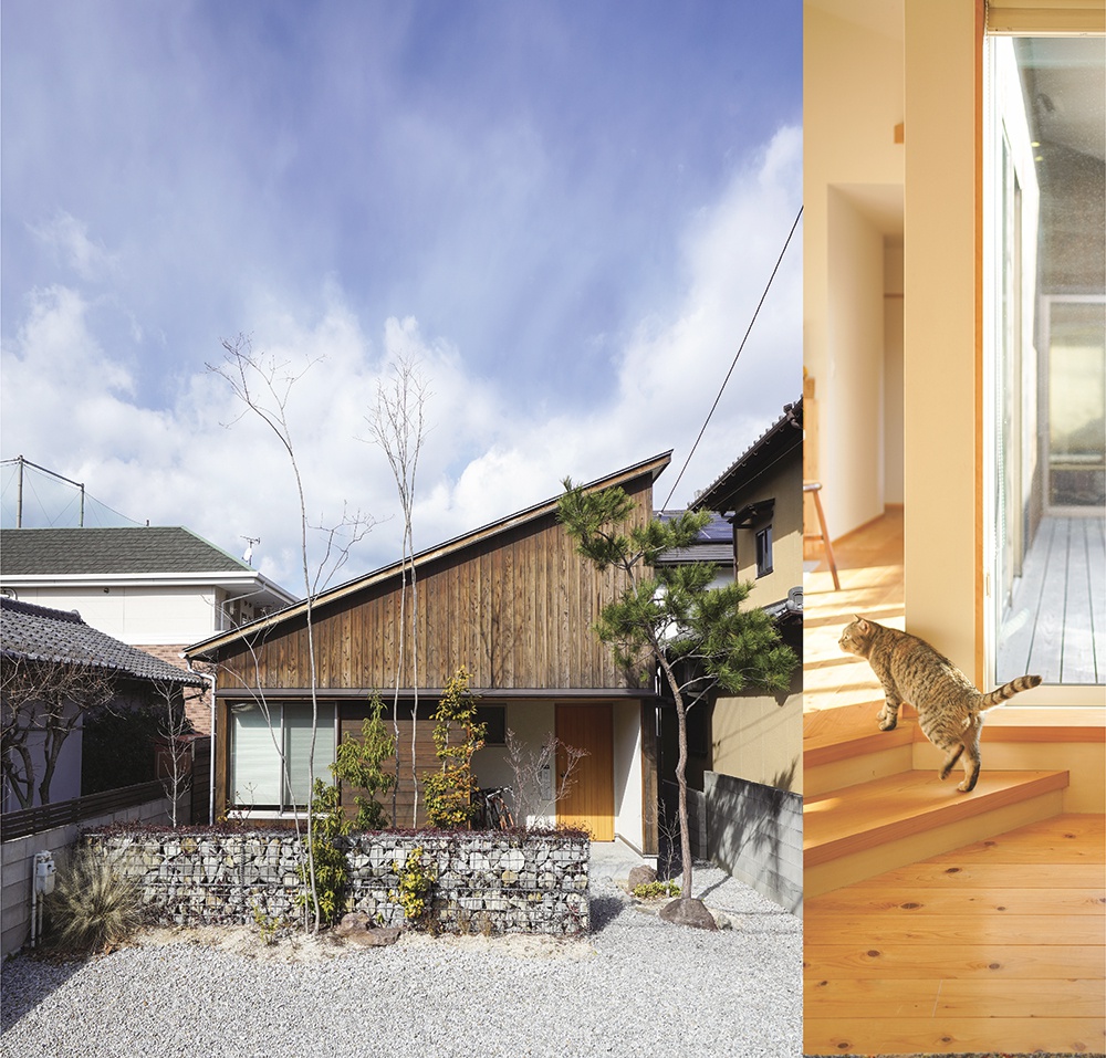 住宅地に建つ　タテに長い平屋の家