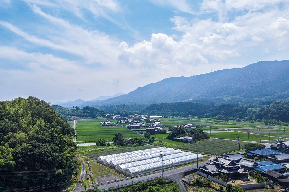 HOUSE REPORT 「住まいと庭が調和する『庭屋一如』の家」