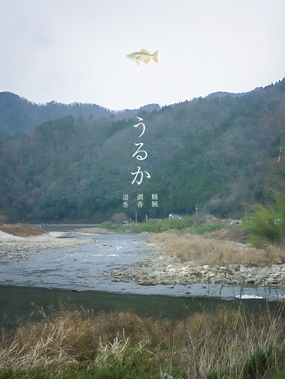 〔森里海から No.69〕うるか(鱁鮧、潤香、湿香)