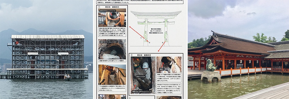 〔森里海から No.71〕厳島神社大鳥居(いつくしまじんじゃおおとりい)