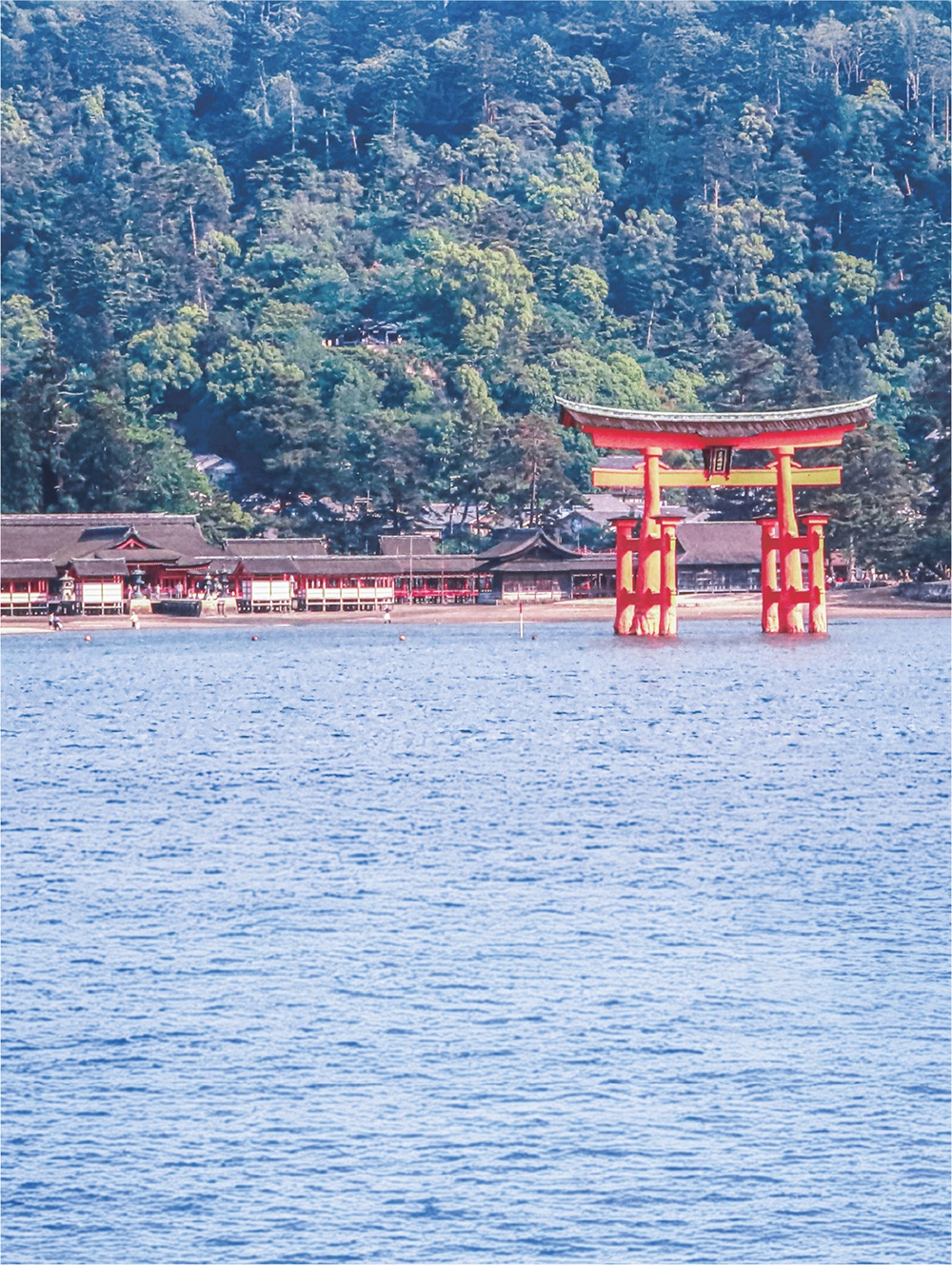 〔森里海から No.71〕厳島神社大鳥居(いつくしまじんじゃおおとりい)