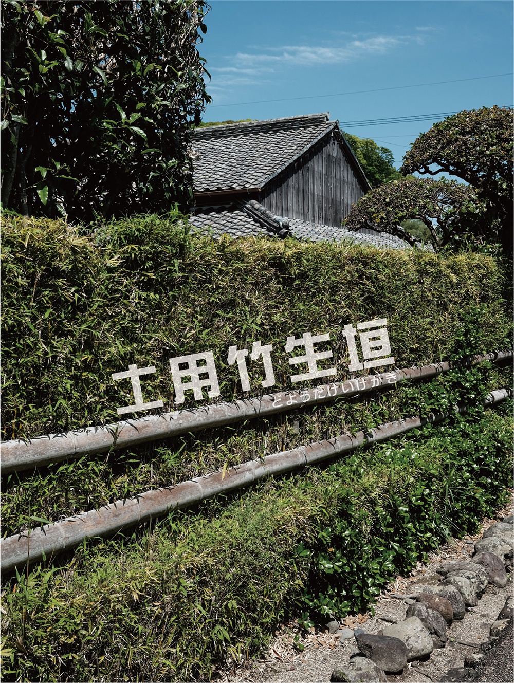 〔森里海から No.73〕土用竹生垣(どようだけいけがき)