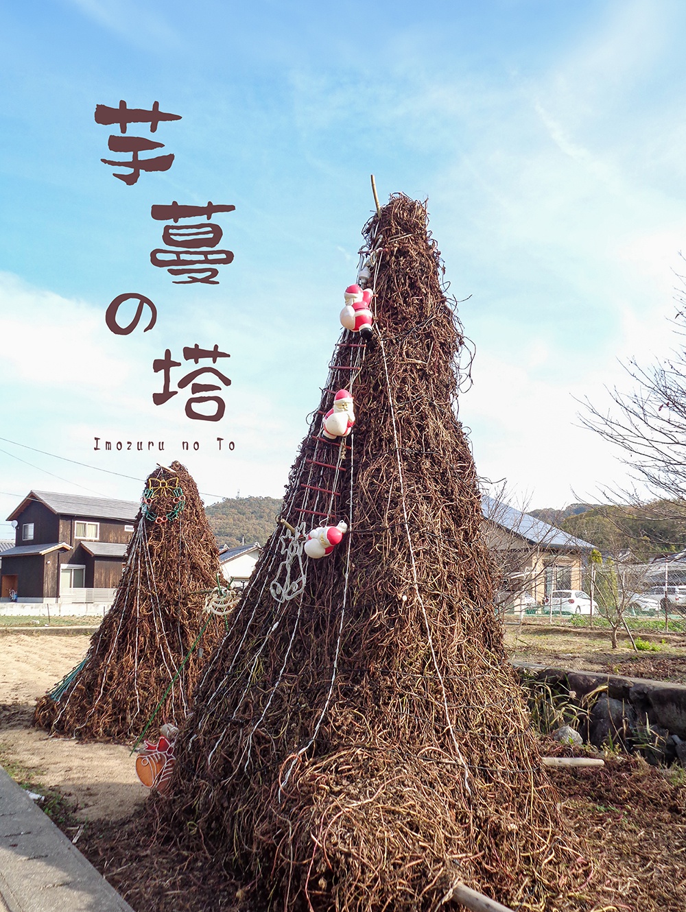 〔森里海から　No.76〕芋蔓の塔