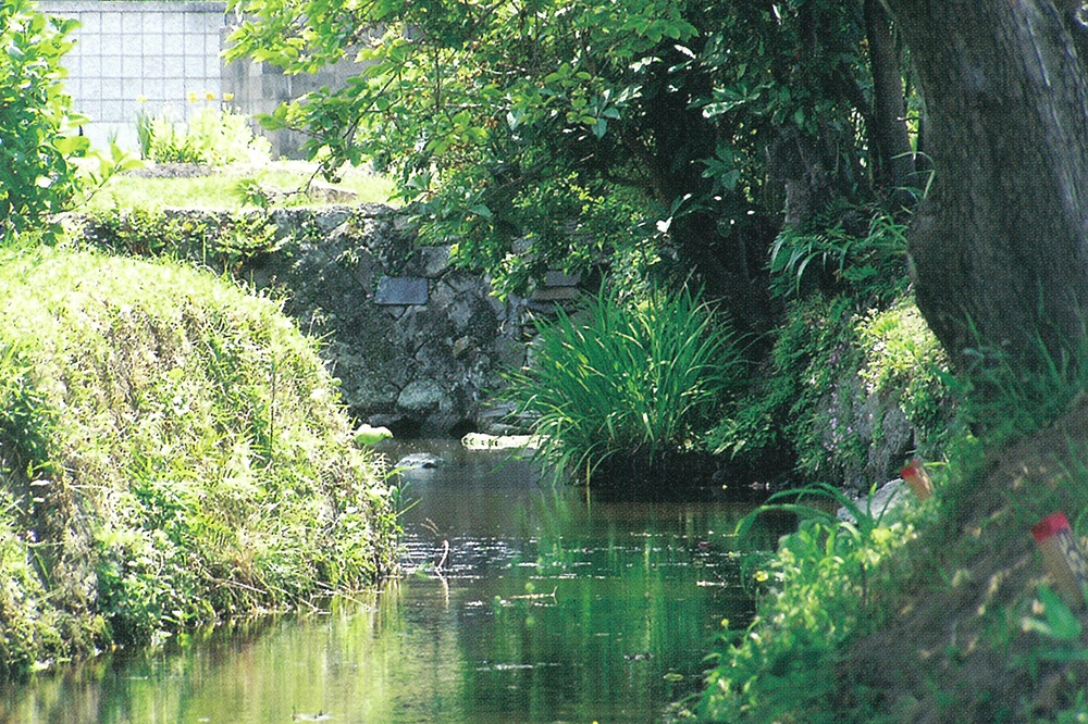 永井清水（ながいしみず）