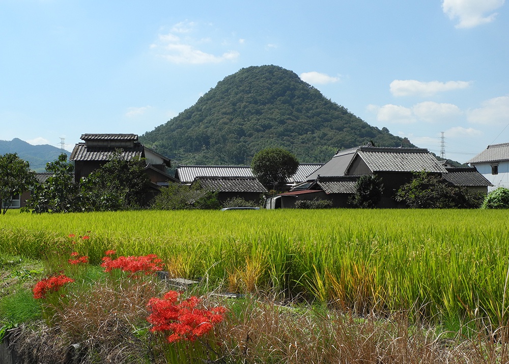綾歌郡綾川町の堤山　〈せとうちスタイルvol.03〉