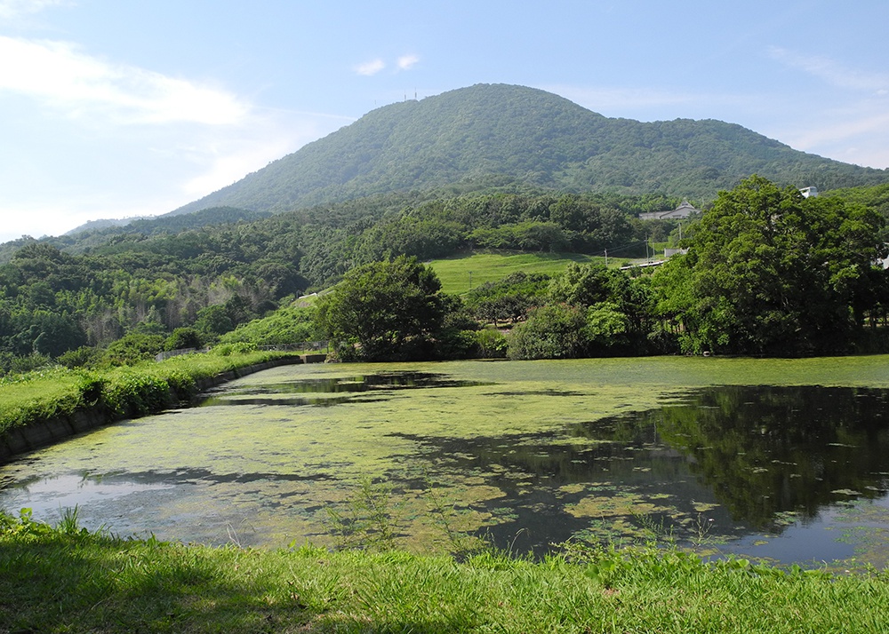 菖蒲池　〈せとうち暮らしvol.18〉