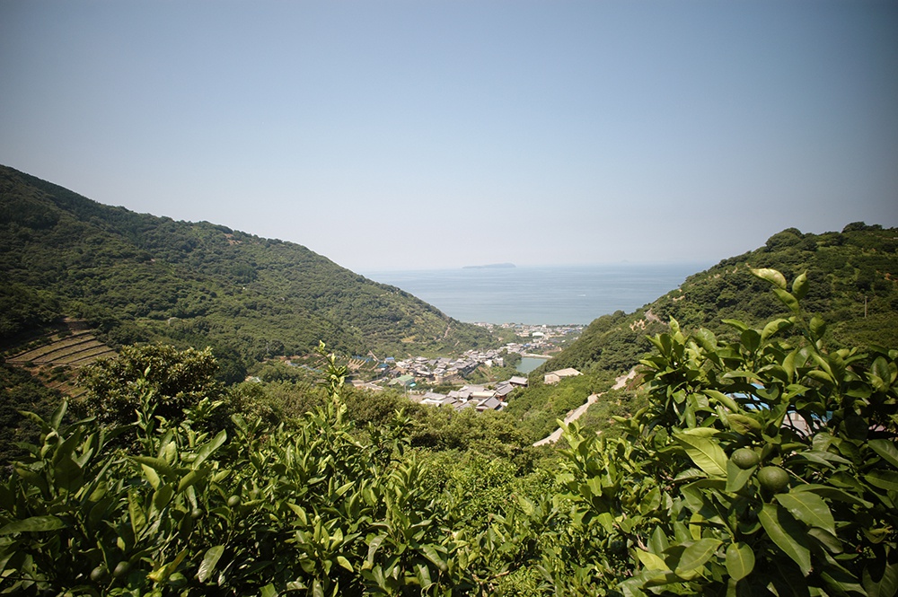 仁尾町曽保地区の柿谷集落　〈せとうちスタイルvol.01〉