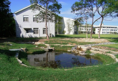 四国学院大学　図書館　ビオトープ