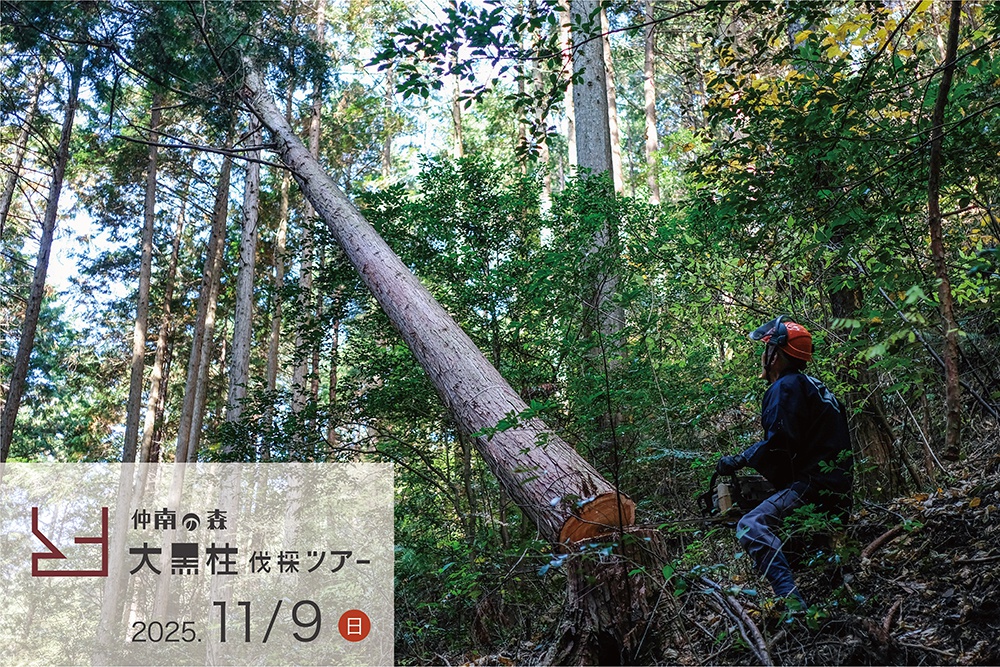 2025年11月9日（日）　第24回 「仲南の森　大黒柱伐採ツアー2025」を開催！