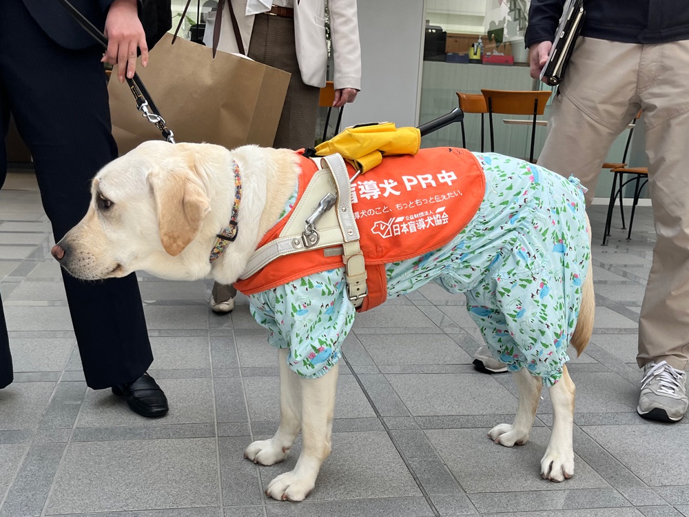 KSB盲導犬育成事業支援番組「with盲導犬」に協賛