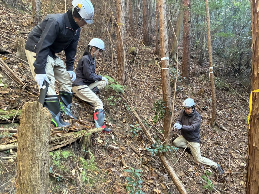 森林整備活動「社会貢献の森（菅組 感謝の森）」2024・秋_間伐作業写真03