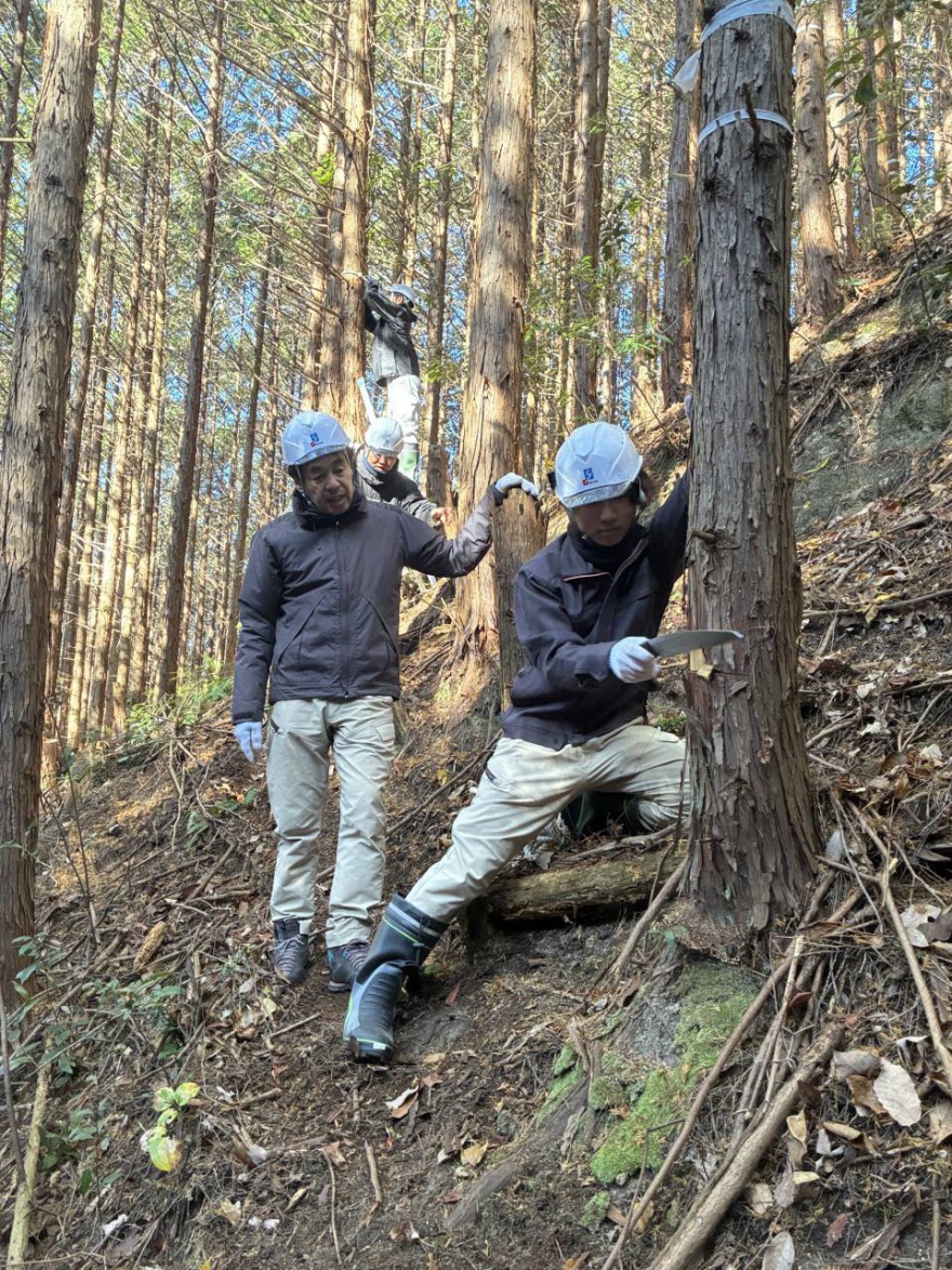 森林整備活動「社会貢献の森（菅組 感謝の森）」2024・秋_間伐作業写真05