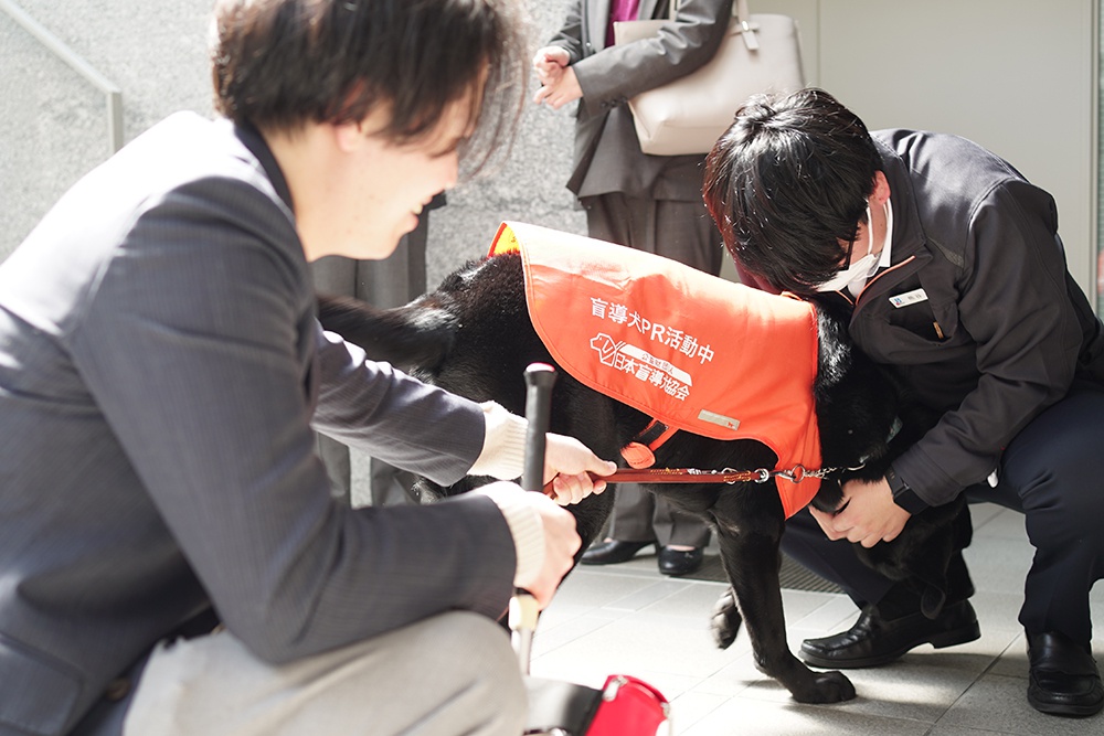 盲導犬が再び菅組へ。人を支える“もう一つの仕事”を知る時間