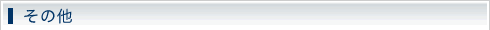 その他