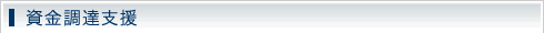 資金調達支援