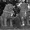 賀茂神社秋季大祭