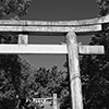 賀茂神社秋季大祭